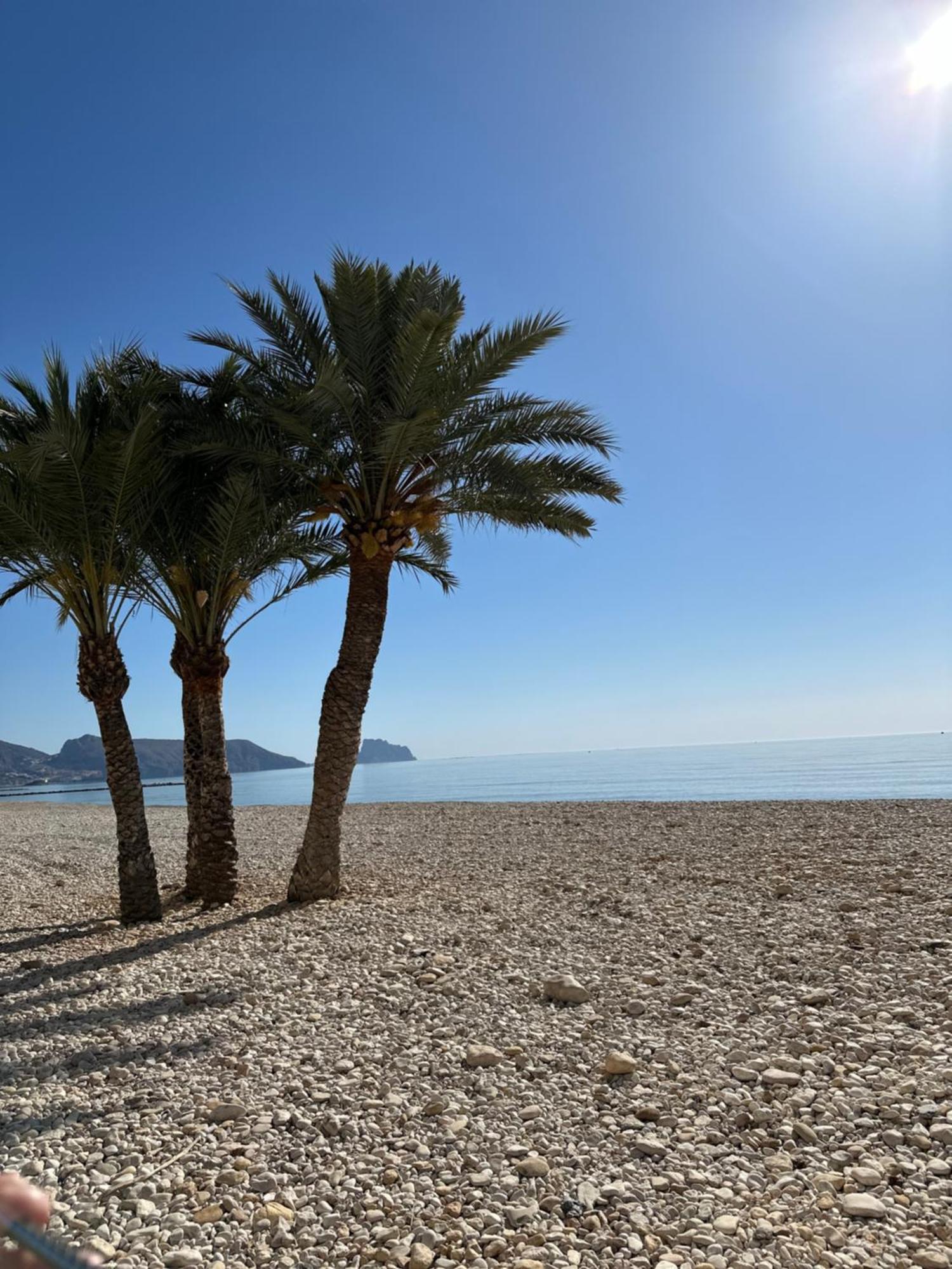 Precioso Apartamento De 3 Dormitorios Con Acceso Directo A La Playa อัลเตอา ภายนอก รูปภาพ